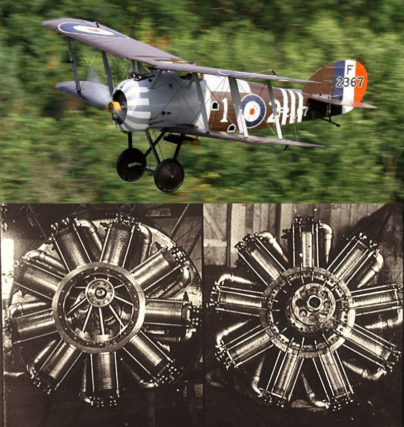 Montage 800px